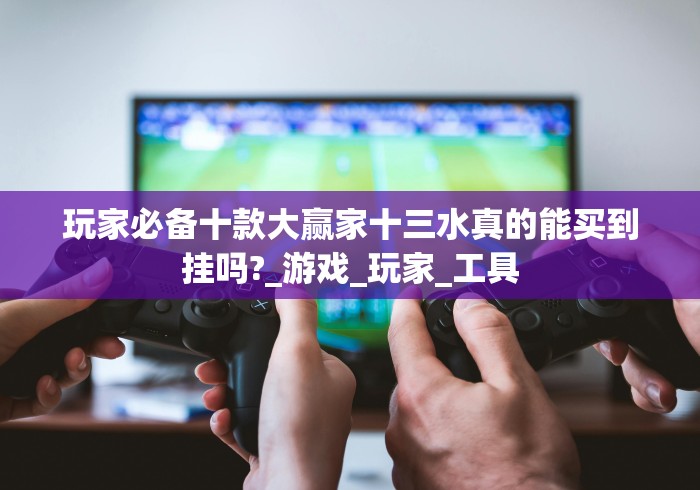 玩家必备十款大赢家十三水真的能买到挂吗?_游戏_玩家_工具