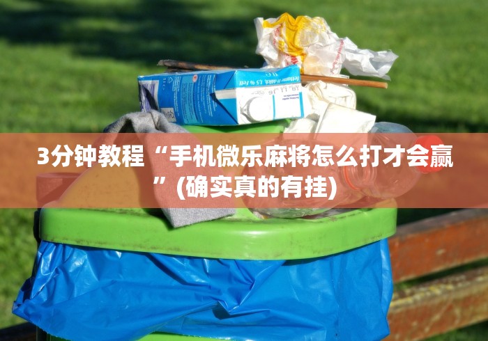 3分钟教程“手机微乐麻将怎么打才会赢”(确实真的有挂)