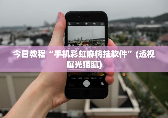 今日教程“手机彩虹麻将挂软件”(透视曝光猫腻) 今日教程“手机彩虹麻将挂软件”(透视曝光猫腻)