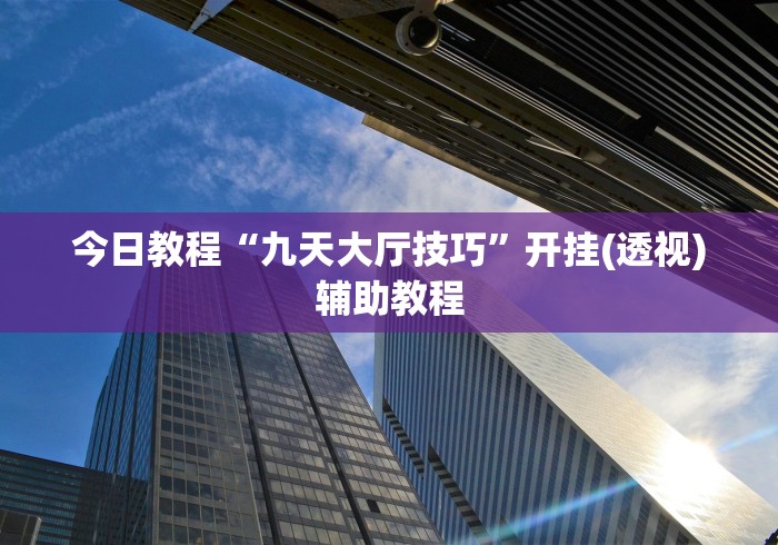 今日教程“九天大厅技巧”开挂(透视)辅助教程