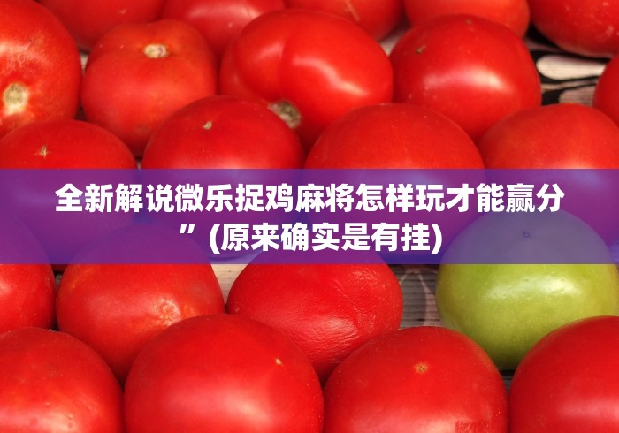 全新解说微乐捉鸡麻将怎样玩才能赢分”(原来确实是有挂)
