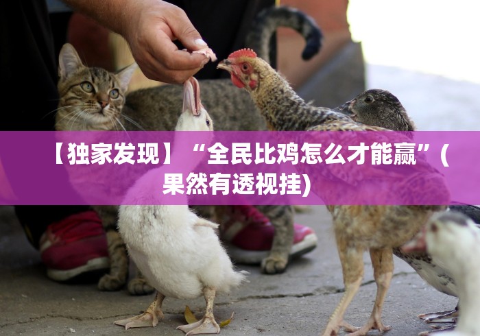 【独家发现】“全民比鸡怎么才能赢”(果然有透视挂) 