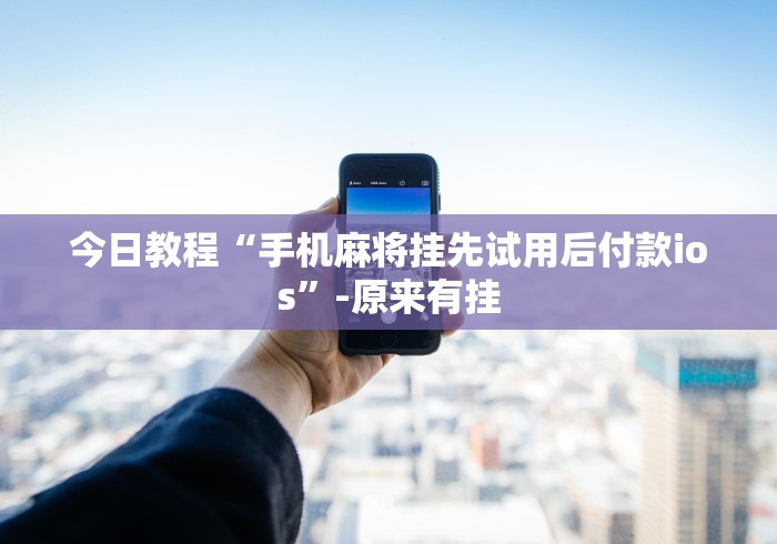 今日教程“手机麻将挂先试用后付款ios”-原来有挂 今日教程“手机麻将挂先试用后付款ios”-原来有挂