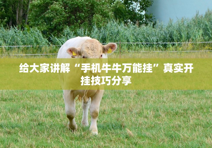 给大家讲解“手机牛牛万能挂”真实开挂技巧分享 给大家讲解“手机牛牛万能挂”真实开挂技巧分享