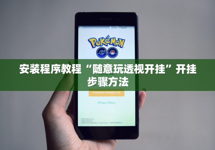 安装程序教程“随意玩透视开挂”开挂步骤方法