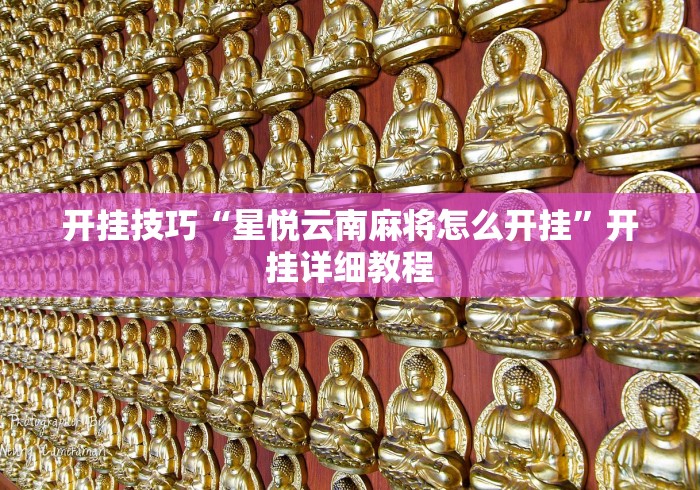 开挂技巧“星悦云南麻将怎么开挂”开挂详细教程