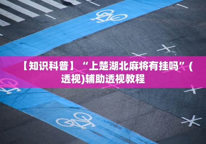 【知识科普】“上楚湖北麻将有挂吗”(透视)辅助透视教程