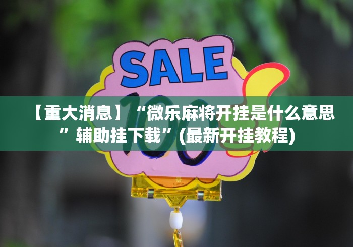 【重大消息】“微乐麻将开挂是什么意思”辅助挂下载”(最新开挂教程)