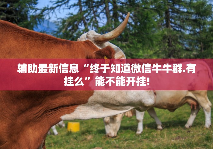 辅助最新信息“终于知道微信牛牛群.有挂么”能不能开挂!