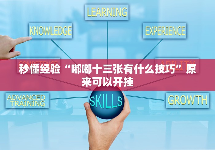 秒懂经验“嘟嘟十三张有什么技巧”原来可以开挂