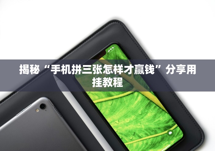 揭秘“手机拼三张怎样才赢钱”分享用挂教程 揭秘“手机拼三张怎样才赢钱”分享用挂教程