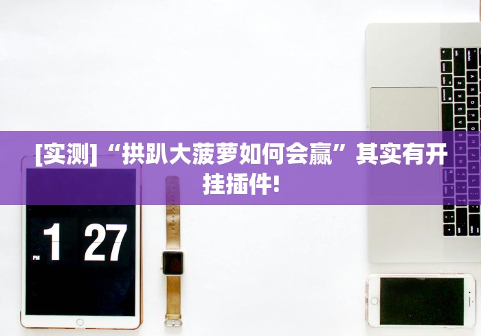 [实测]“拱趴大菠萝如何会赢”其实有开挂插件!