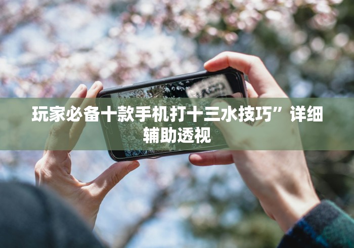 玩家必备十款手机打十三水技巧”详细辅助透视 玩家必备十款手机打十三水技巧”详细辅助透视