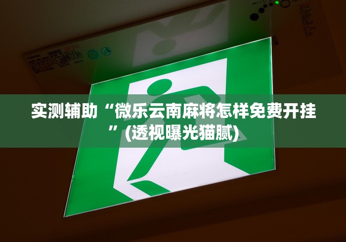 实测辅助“微乐云南麻将怎样免费开挂”(透视曝光猫腻) 实测辅助“微乐云南麻将怎样免费开挂”(透视曝光猫腻)
