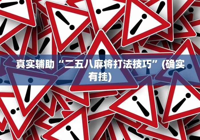 真实辅助“二五八麻将打法技巧”(确实有挂)