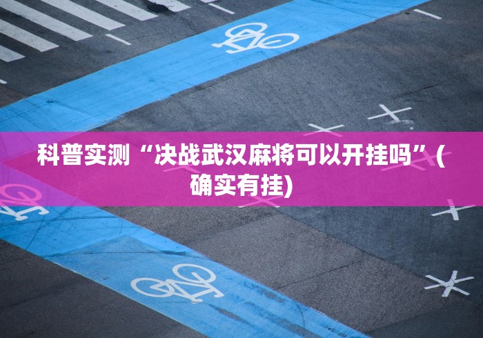 科普实测“决战武汉麻将可以开挂吗”(确实有挂) 科普实测“决战武汉麻将可以开挂吗”(确实有挂)