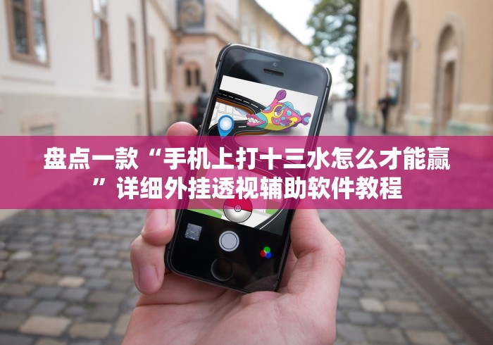 盼盼分享“好运大菠萝怎么开挂”详细分享装挂步骤