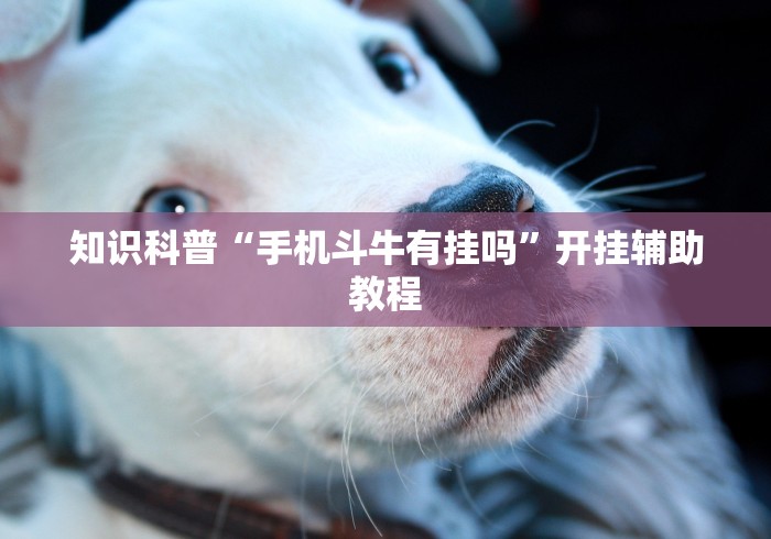 玩家必知“讯奇麻将有挂吗”开挂辅助脚本+详细开挂