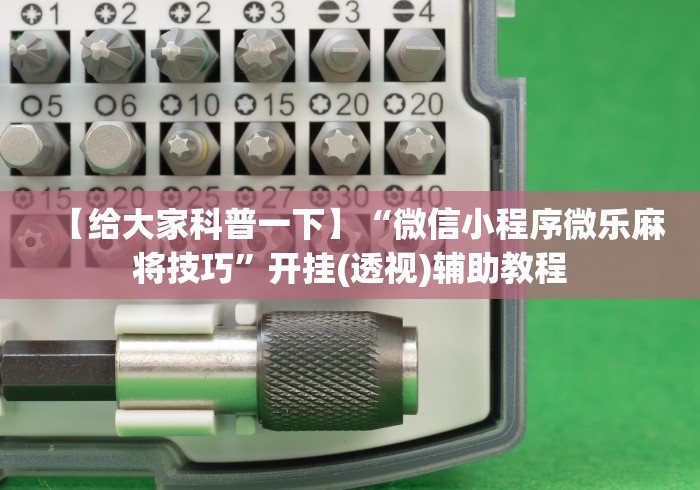 专家分析“小宝跑得快可以开挂吗”(详细辅助脚本)