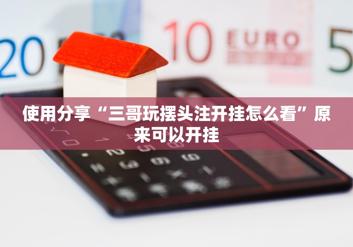 玩家辅助神器“椰岛常胜游戏玩法”(原来确实是有插件)