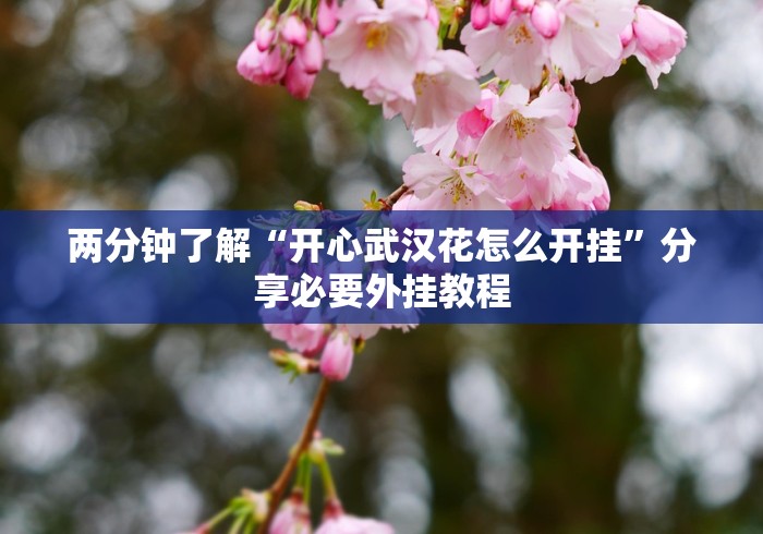 两分钟了解“开心武汉花怎么开挂”分享必要外挂教程