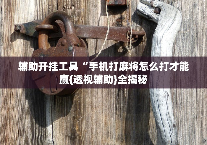 辅助开挂工具“手机打麻将怎么打才能赢{透视辅助}全揭秘