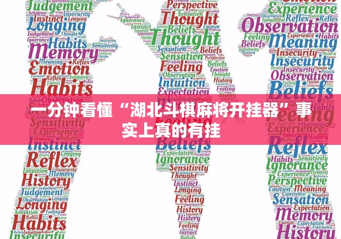 一分钟看懂“湖北斗棋麻将开挂器”事实上真的有挂 一分钟看懂“湖北斗棋麻将开挂器”事实上真的有挂