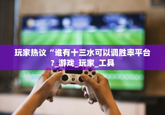 玩家热议“谁有十三水可以调胜率平台?_游戏_玩家_工具