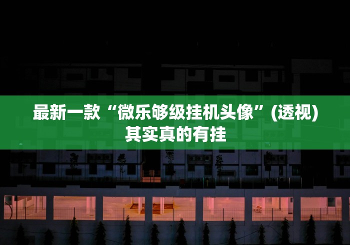 最新一款“微乐够级挂机头像”(透视)其实真的有挂