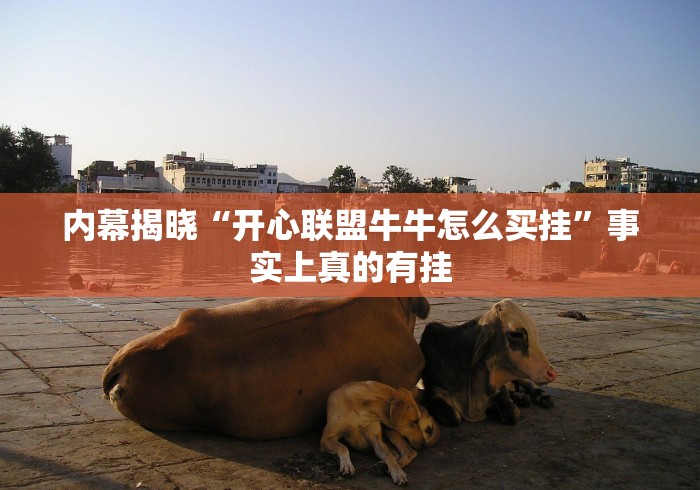 内幕揭晓“开心联盟牛牛怎么买挂”事实上真的有挂