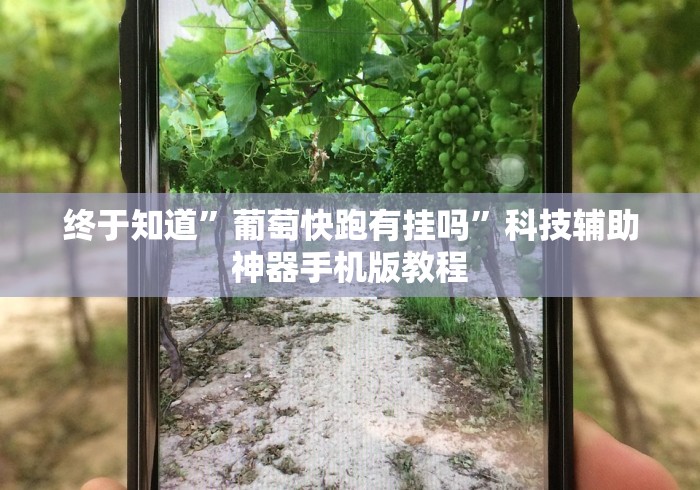 终于知道”葡萄快跑有挂吗”科技辅助神器手机版教程