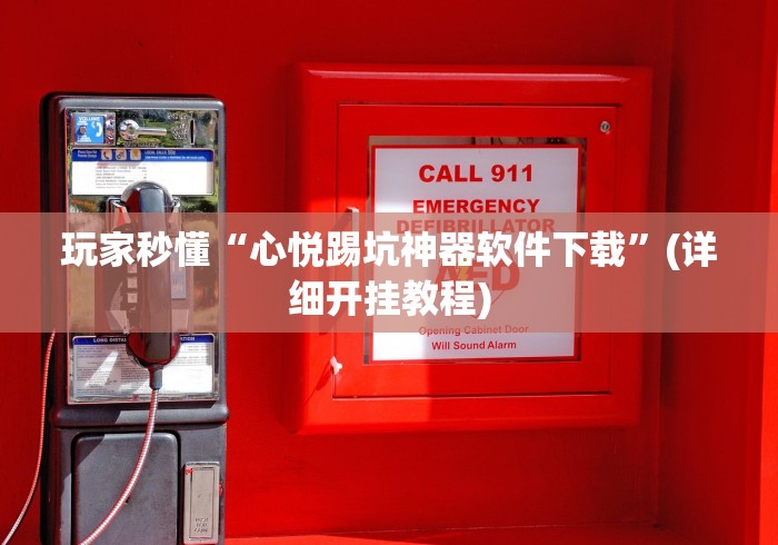 玩家秒懂“心悦踢坑神器软件下载”(详细开挂教程)