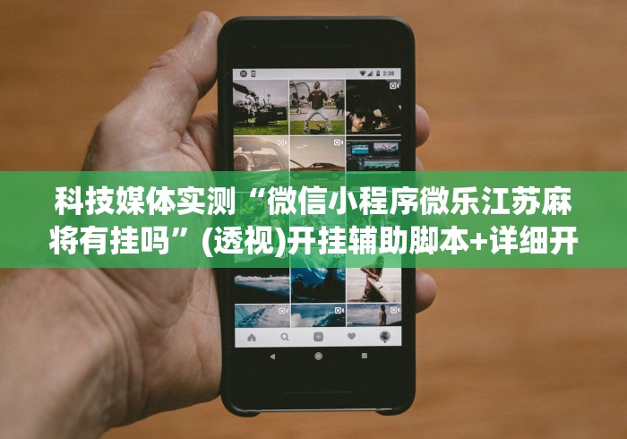 科技媒体实测“微信小程序微乐江苏麻将有挂吗”(透视)开挂辅助脚本+详细开挂安装教程