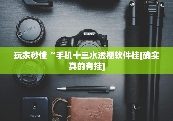 玩家秒懂“手机十三水透视软件挂[确实真的有挂]