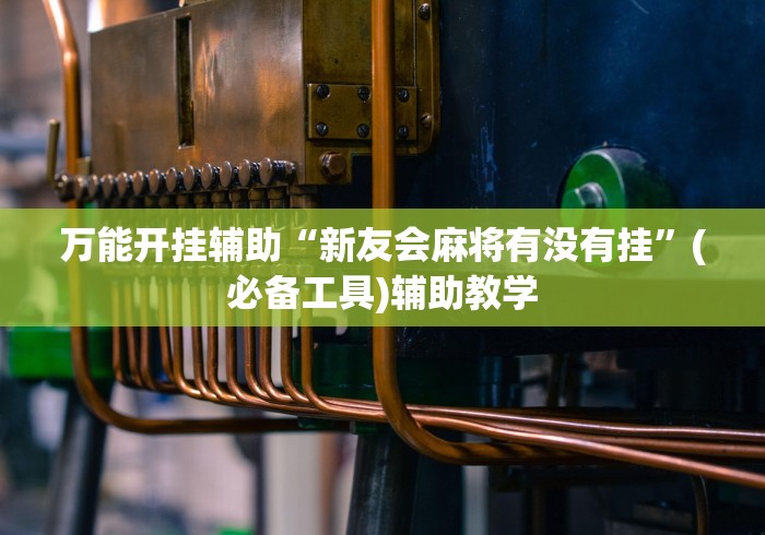 万能开挂辅助“新友会麻将有没有挂”(必备工具)辅助教学