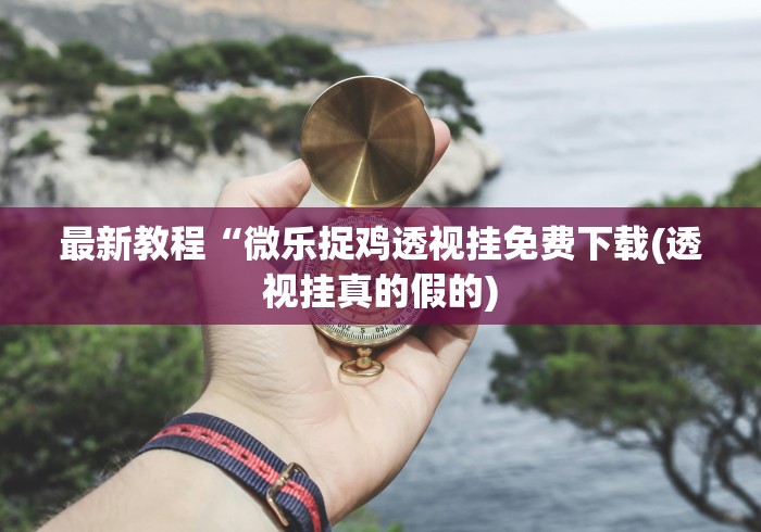 最新教程“微乐捉鸡透视挂免费下载(透视挂真的假的)