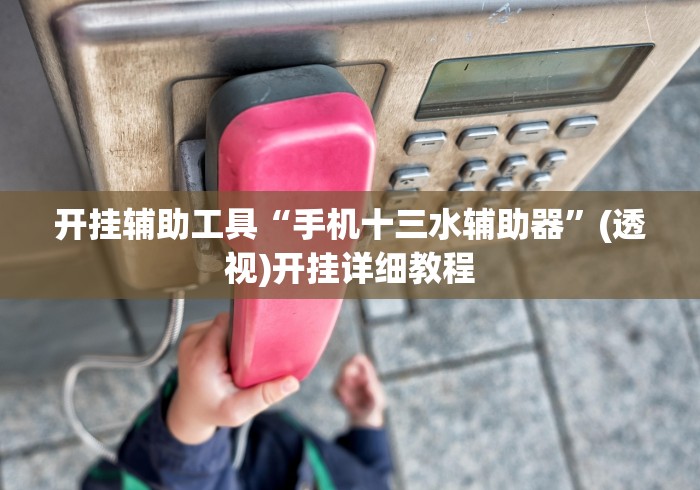 开挂辅助工具“手机十三水辅助器”(透视)开挂详细教程