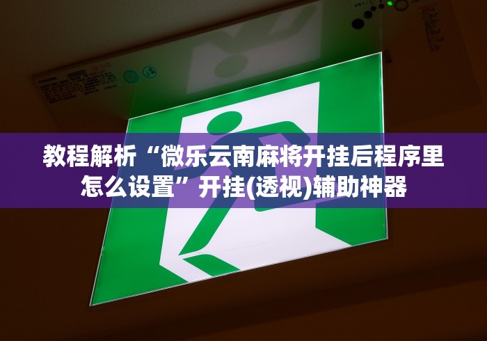 教程解析“微乐云南麻将开挂后程序里怎么设置”开挂(透视)辅助神器