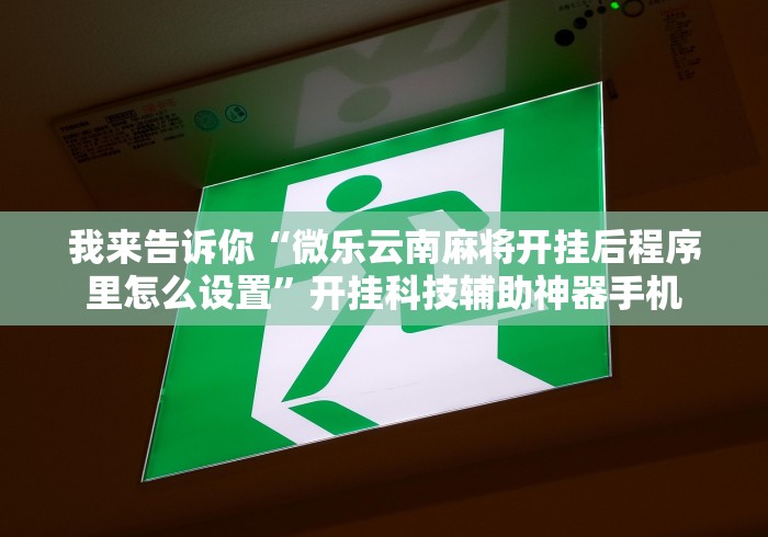 我来告诉你“微乐云南麻将开挂后程序里怎么设置”开挂科技辅助神器手机