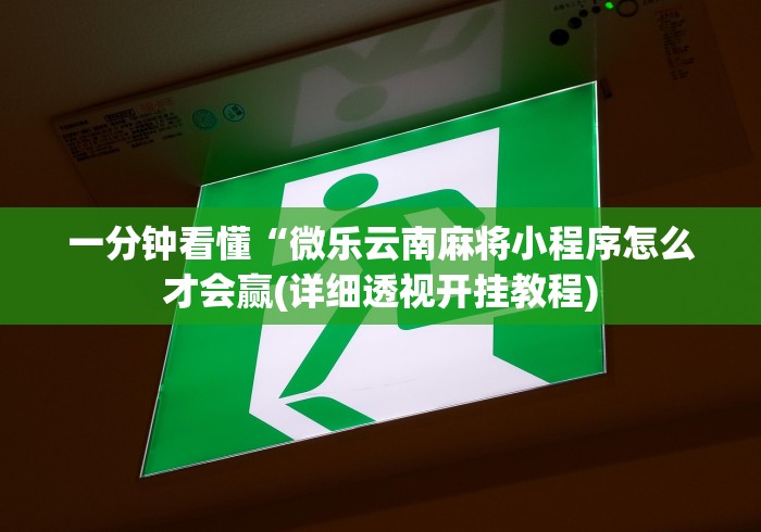一分钟看懂“微乐云南麻将小程序怎么才会赢(详细透视开挂教程)