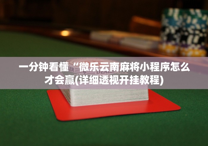 一分钟看懂“微乐云南麻将小程序怎么才会赢(详细透视开挂教程)