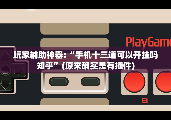 玩家辅助神器:“手机十三道可以开挂吗知乎”(原来确实是有插件)