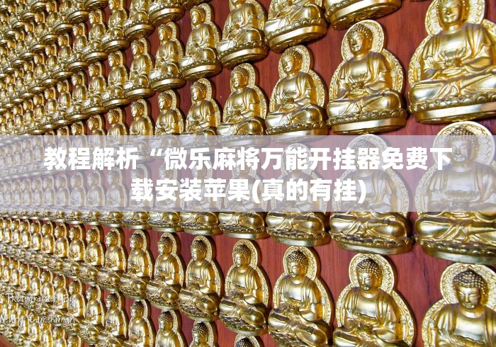 教程解析“微乐麻将万能开挂器免费下载安装苹果(真的有挂)