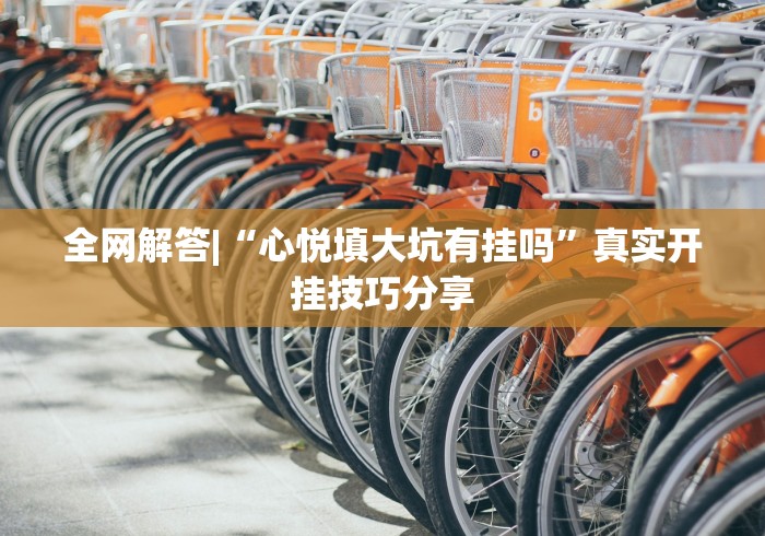 全网解答|“心悦填大坑有挂吗”真实开挂技巧分享