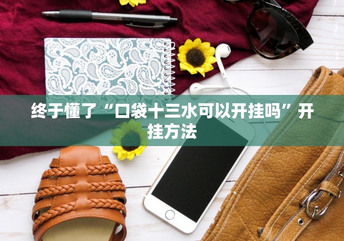 终于懂了“口袋十三水可以开挂吗”开挂方法