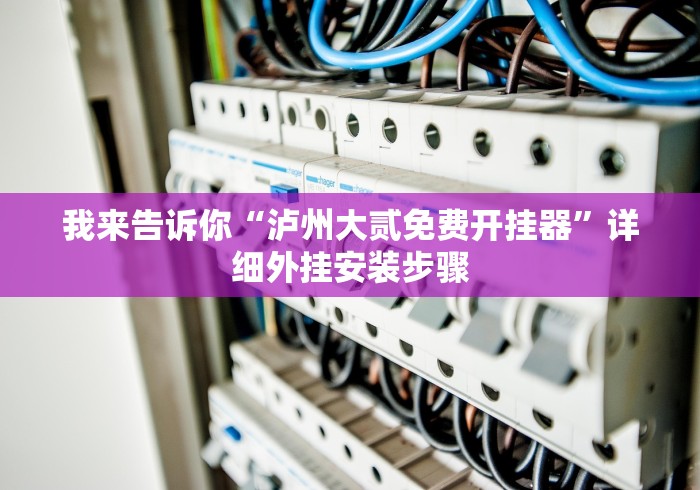 我来告诉你“泸州大贰免费开挂器”详细外挂安装步骤