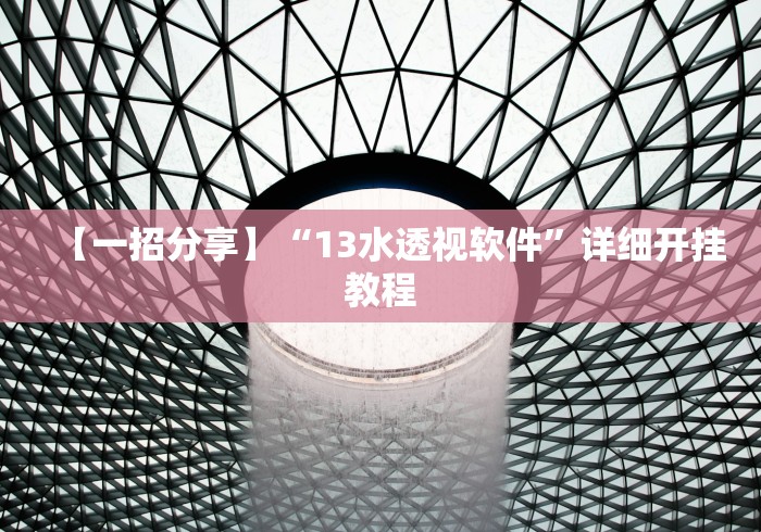 【一招分享】“13水透视软件”详细开挂教程