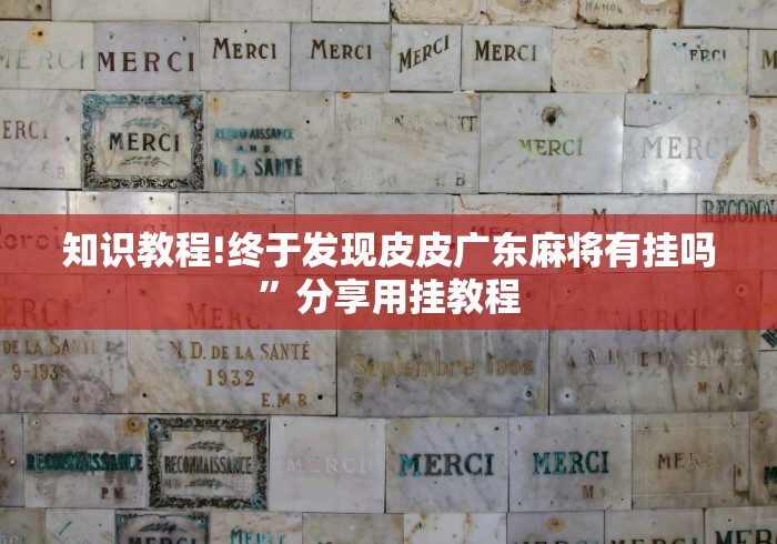 知识教程!终于发现皮皮广东麻将有挂吗”分享用挂教程