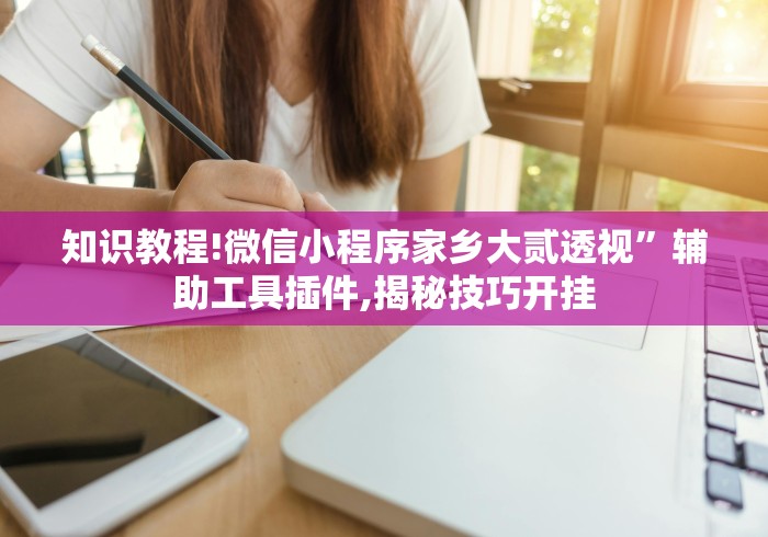 知识教程!微信小程序家乡大贰透视”辅助工具插件,揭秘技巧开挂