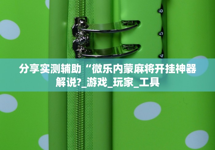分享实测辅助“微乐内蒙麻将开挂神器解说?_游戏_玩家_工具
